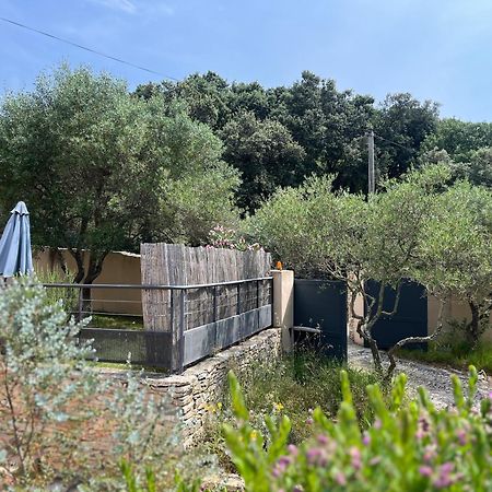 Villa Pierre Blanche Le Calme A 5Mn Du Centre Ville Nîmes Kültér fotó