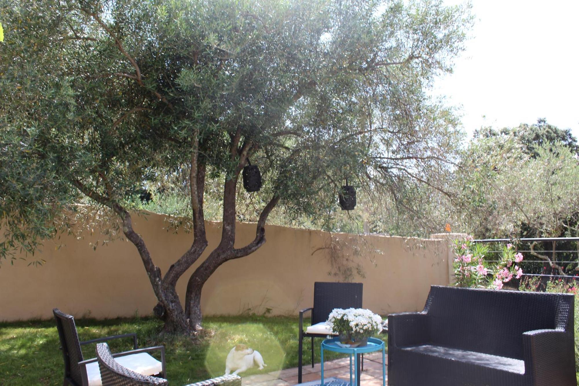 Villa Pierre Blanche Le Calme A 5Mn Du Centre Ville Nîmes Kültér fotó